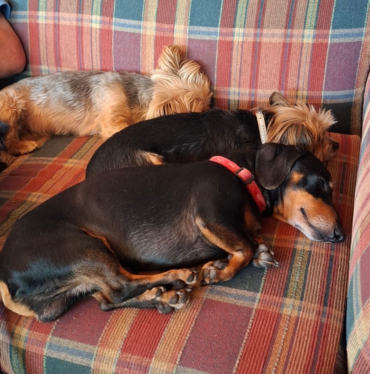 Sleepover Facilities
